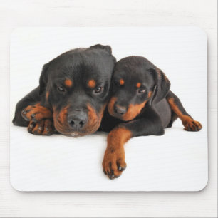 Tapis de souris Chien Rottweiler Blanc