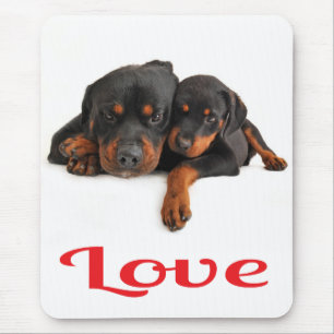Tapis de souris Chien Rottweiler Blanc