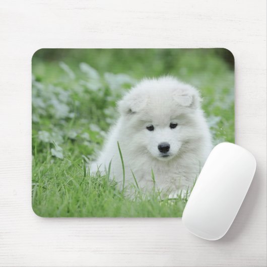 Tapis De Souris Chien Samoyé (Avec souris)