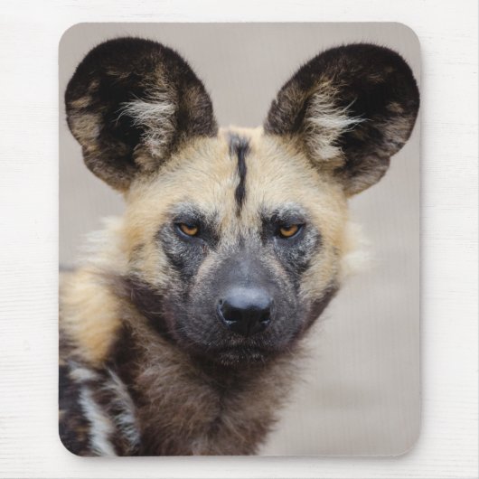 Tapis De Souris Chien sauvage africain (Chien peint) (Devant)