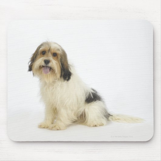 Tapis De Souris Chien sur blanc 104 (Devant)