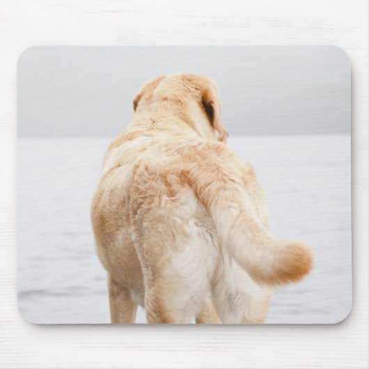 Tapis De Souris Chien sur quai (Devant)