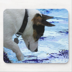 Tapis De Souris Chien touchant l'eau à la piscine