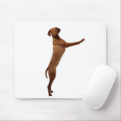 Tapis De Souris Chien Vizsla (Avec souris)