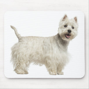 Tapis de souris Chien West Highland Terrier Blanc