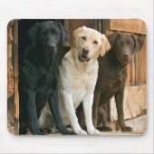 Tapis De Souris Chien Yellow Lab Black Brown Labrador Retriever (Devant)