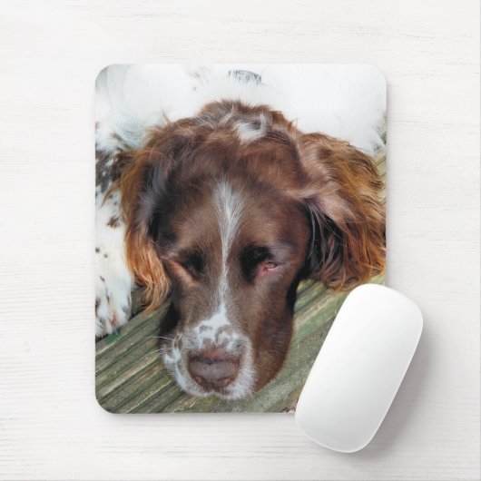 TAPIS DE SOURIS CHIENS (Avec souris)
