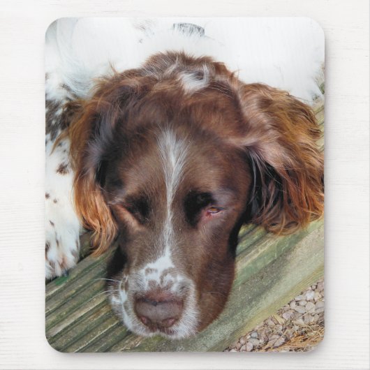 TAPIS DE SOURIS CHIENS (Devant)