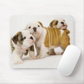 Tapis De Souris Chiens chiots anglais joyeux jouant à Mousepad (Avec souris)