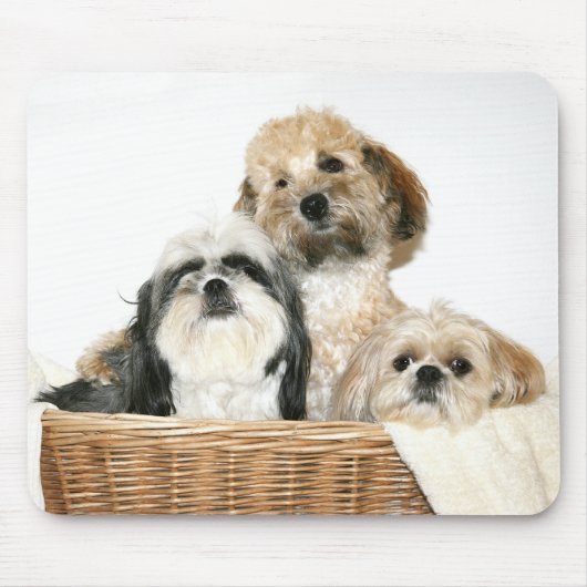 Tapis De Souris Chiens dans un panier (Devant)