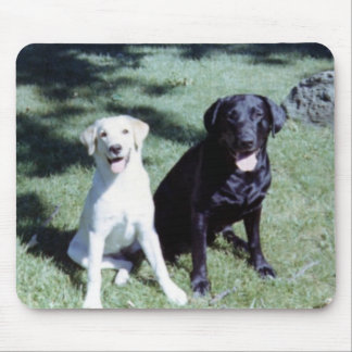 Tapis De Souris Chiens de Labrador