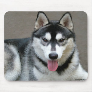 Tapis De Souris Chiens de Malamute d'Alaska