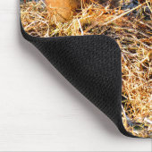 TAPIS DE SOURIS CHIENS DE PRAIRIE (Coin)