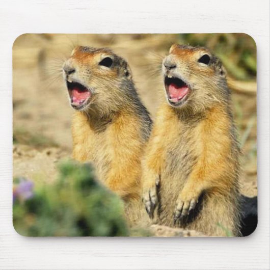 Tapis De Souris Chiens de prairie de chant (Devant)