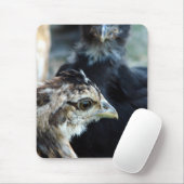 Tapis De Souris Chiens mélangés de Barnyard (Avec souris)