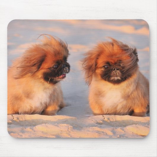 Tapis De Souris Chiens mignons de Pekingese (Devant)