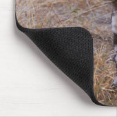 Tapis De Souris Chiens sauvages Mousepad (Coin)