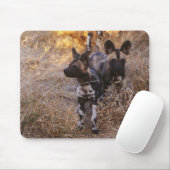 Tapis De Souris Chiens sauvages Mousepad (Avec souris)