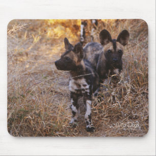 Tapis De Souris Chiens sauvages Mousepad