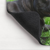 Tapis De Souris Chiffre de taureau français (Coin)