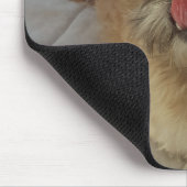 Tapis De Souris Chih Tzu chien mousepad (Coin)