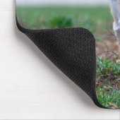 Tapis De Souris Chihuahua (Coin)