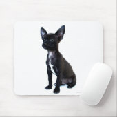 Tapis De Souris Chihuahua noir (Avec souris)