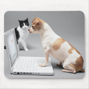 Tapis De Souris Chihuahua regardant dans l'écran d'un ordinateur p