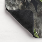 Tapis De Souris Chihuahua sur le dos de Great Dane 2 (Coin)