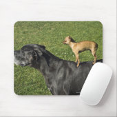 Tapis De Souris Chihuahua sur le dos de Great Dane 2 (Avec souris)
