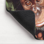Tapis De Souris Chimpansee (Coin)