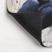 Tapis De Souris Chimpanzé (Coin)
