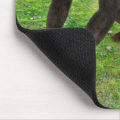 Tapis De Souris Chimpanzé (Coin)
