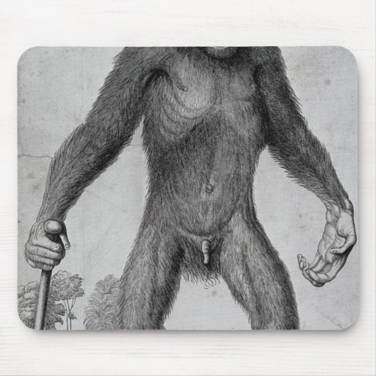 Tapis De Souris Chimpanzé, 1699 (Devant)