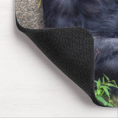 Tapis De Souris chimpanzé appuyé sur la roche (Coin)