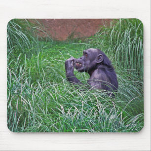 Tapis De Souris Chimpanzé Assis Dans L'Herbe Haute