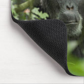Tapis De Souris Chimpanzé caché parmi la végétation (Coin)