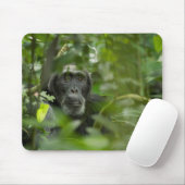 Tapis De Souris Chimpanzé caché parmi la végétation (Avec souris)
