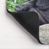 Tapis De Souris Chimpanzé mangeant de l'herbe (Coin)