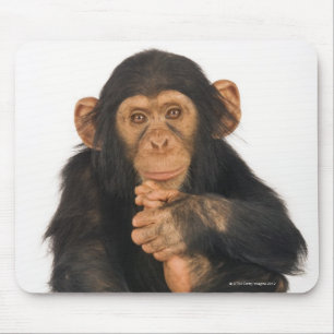 Tapis De Souris Chimpanzé (troglodytes de casserole). Jeune