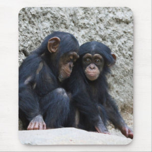 Tapis De Souris Chimpanzee 002