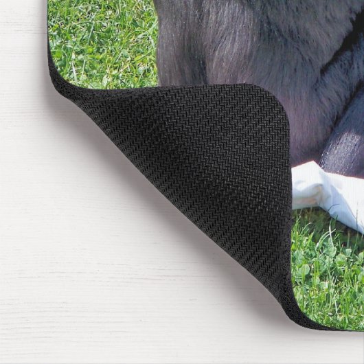 TAPIS DE SOURIS CHIMPANZÉS (Coin)