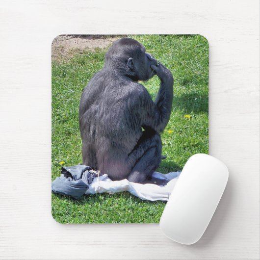 TAPIS DE SOURIS CHIMPANZÉS (Avec souris)
