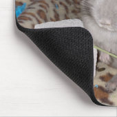 Tapis De Souris chinchilla (Coin)