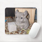 Tapis De Souris chinchilla (Avec souris)