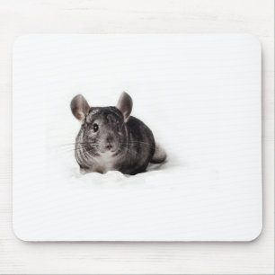 Tapis De Souris Chinchilla gris mignon dans la couverture