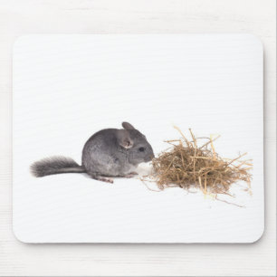 Tapis De Souris chinchillas
