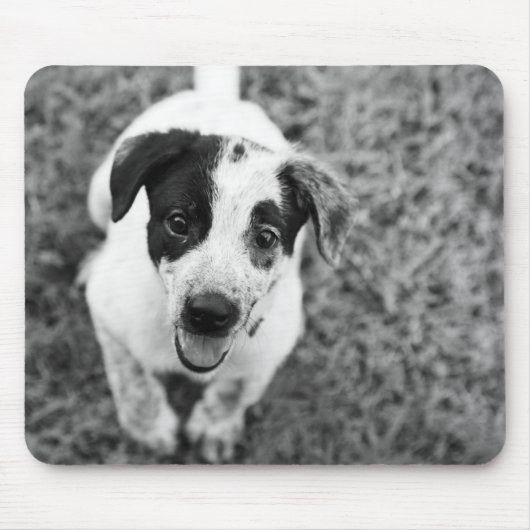 Tapis De Souris Chiot (Devant)