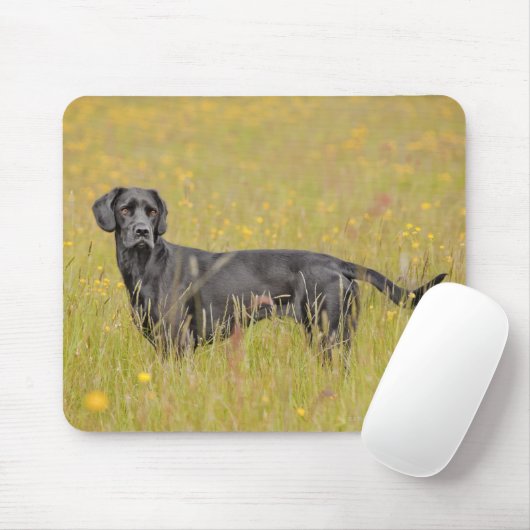 Tapis De Souris Chiot 16 mois (Avec souris)