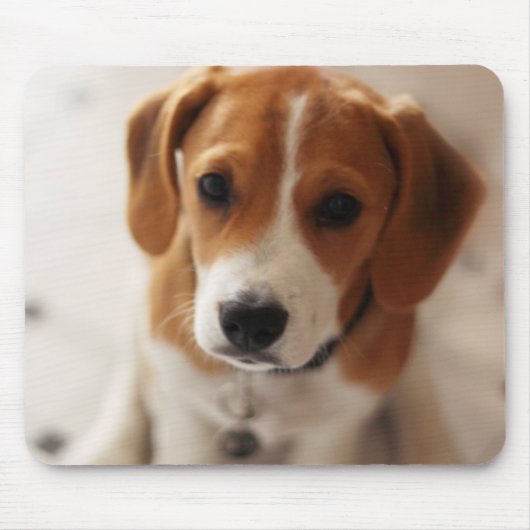 Tapis De Souris Chiot 2 de beagle (Devant)